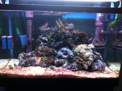 My Tank