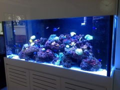 Aquarium 3