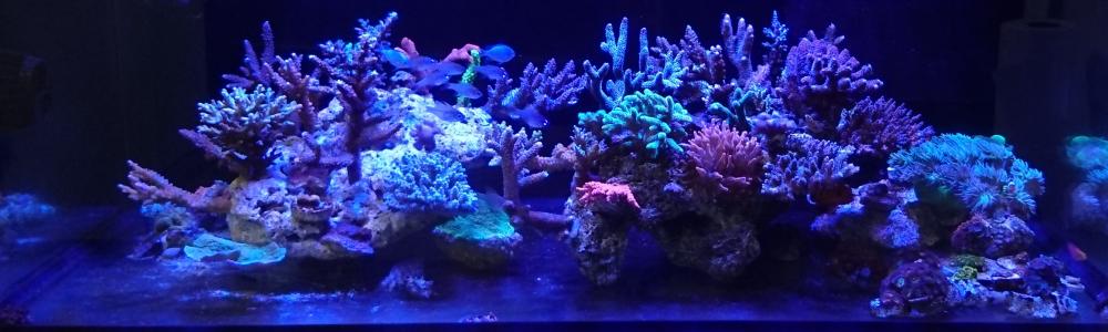 FTS 230716.JPG