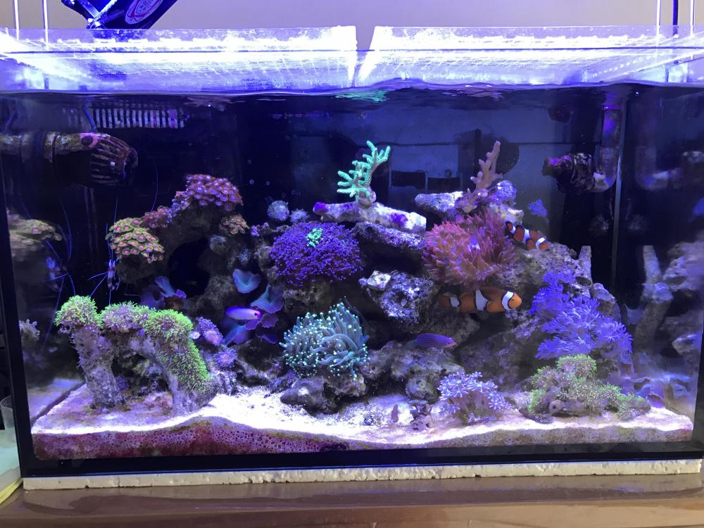 FTS1 Jan.JPG