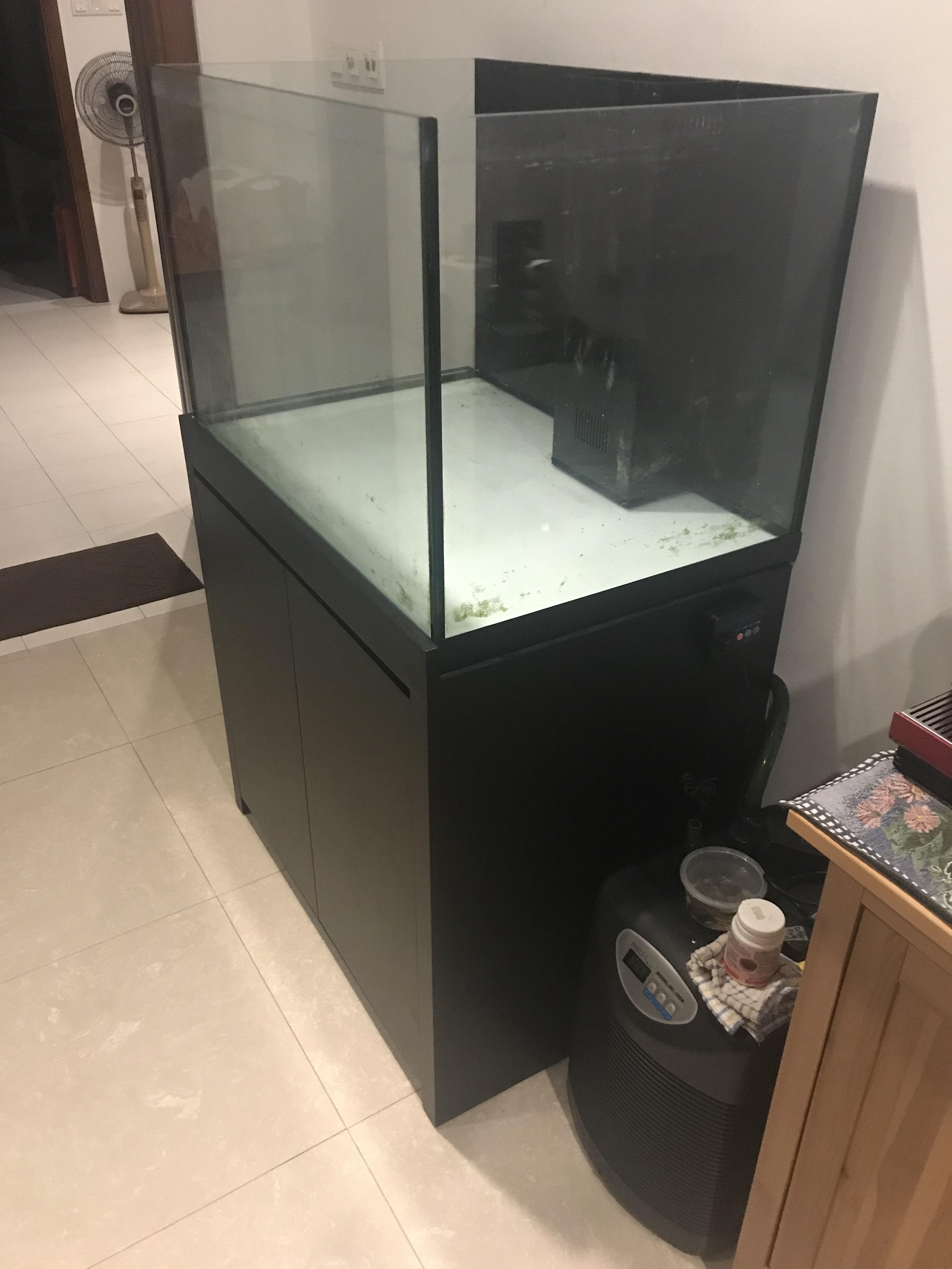 WTS 3 Feet Tank w/ sump & cabinet - Sell off/Pasar Malam Shop ...