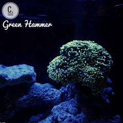 Neon Green Hammer