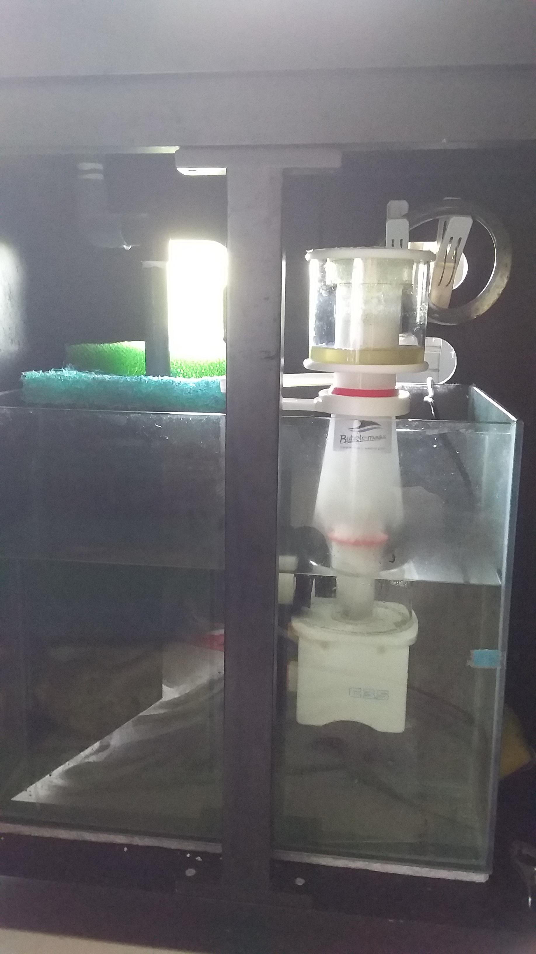 WTS 2ft 10mm crystal glass tank with sumptank - Sell off/Pasar Malam ...