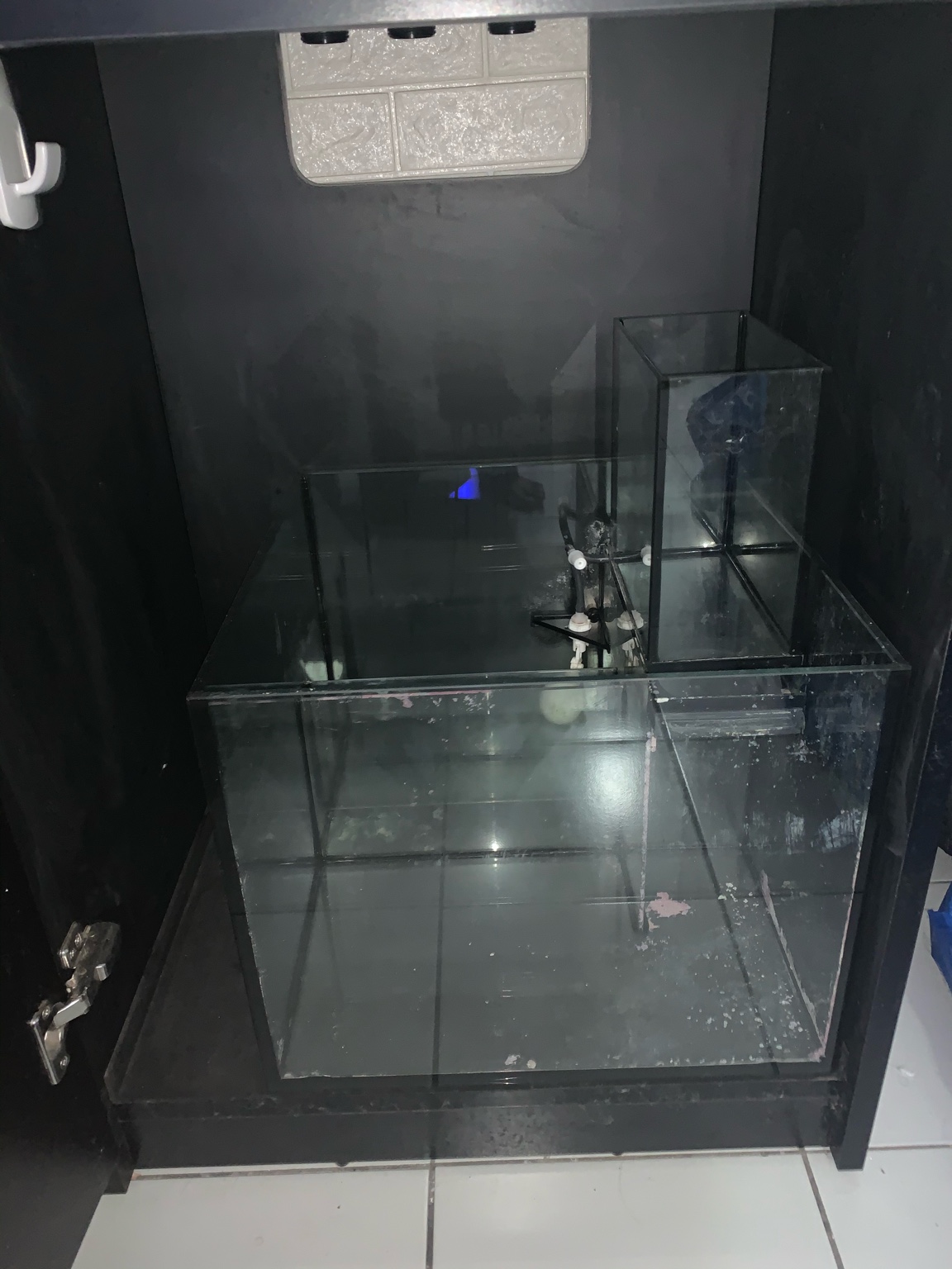 WTS Used Redsea Reefer 170 - Sell off/Pasar Malam Shop - Singapore Reef ...