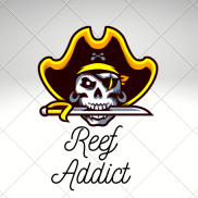 Reef addict