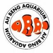 AH BENG AQUARIUM