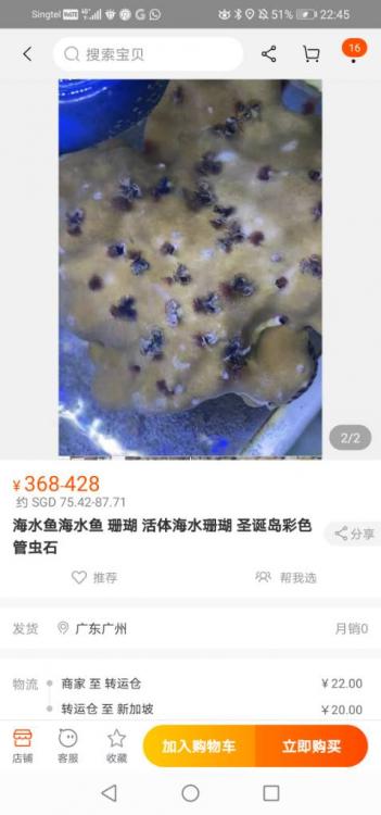 Screenshot_20210105_224552_com.taobao.taobao.jpeg